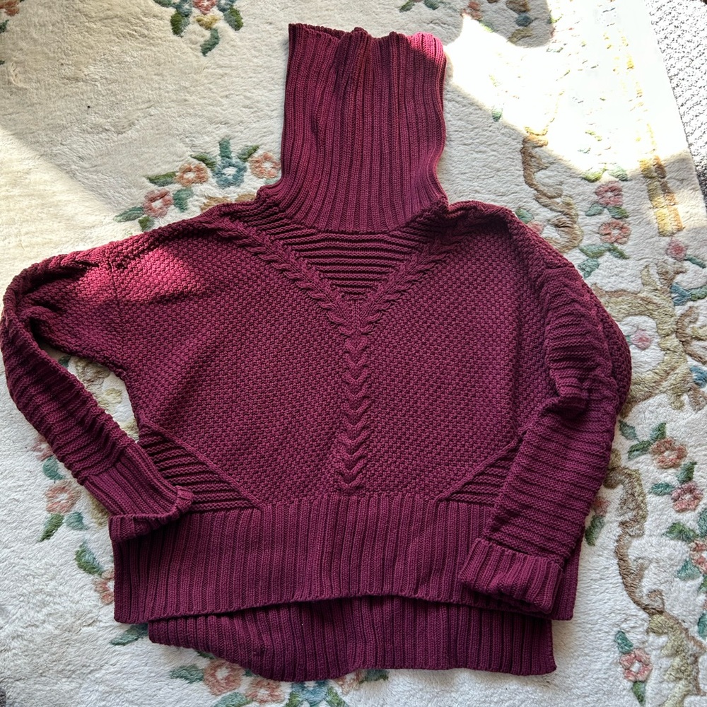 Turtleneck sweater. Worn once.
